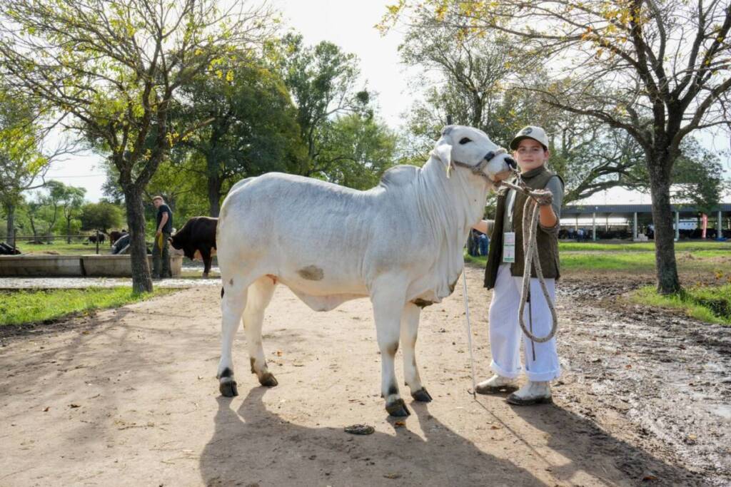 Corrientes vive su Expo nacional de Razas inaugurada por el gobernador Gustavo Valdés