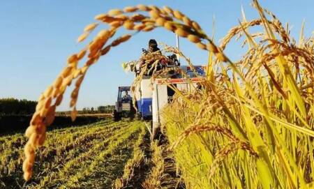 agroindustria - 7