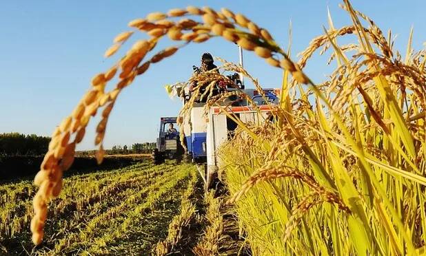 Agroindustria: el superhéroe sin capa de la economía agroindustria - 1