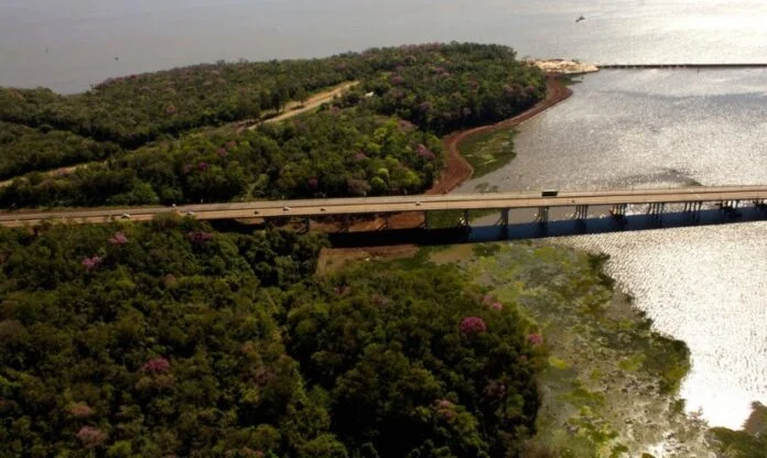 Asesinaron a un hombre y tiraron el cádaver al arroyo Negro de Garupá 3 area natural protegida del Arroyo Garupa 696x416 1 - 2