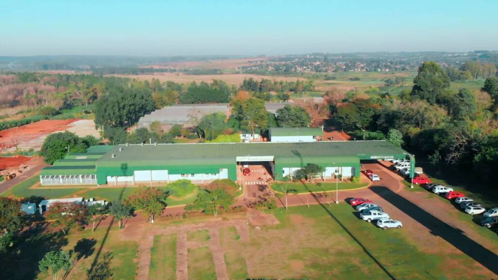 Miravet asumió en Biofábrica Misiones con un plan centrado en comercialización e internacionalización 7 El proyecto, desarrollado bajo invernadero con sistema de hidroponía en sustrato, permitió realizar una cosecha en contraestación