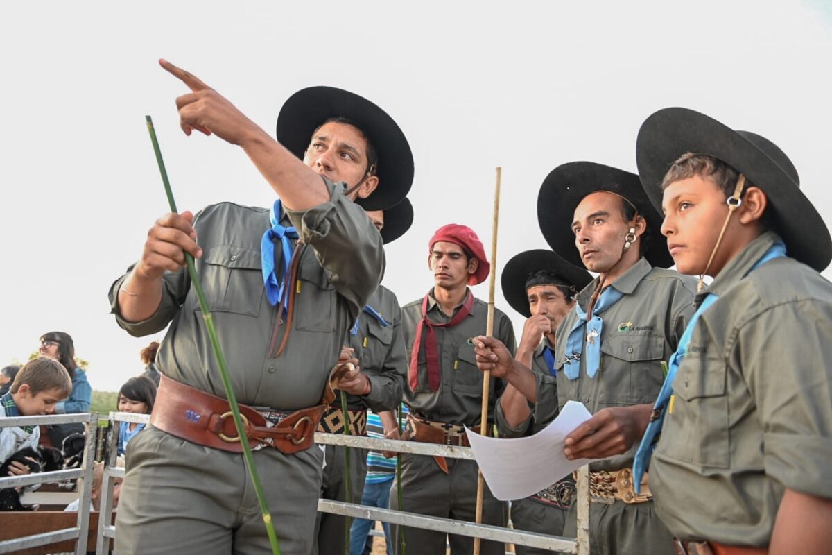 Ovinos al ruedo: arranca el primer remate del año en Misiones 2 Misiones: El evento comenzará el sábado a las 8:30 con pruebas de salto y exposición de animales.