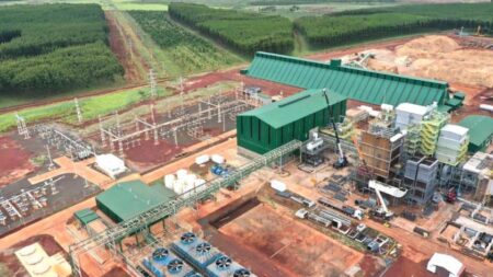 Se inaugura la planta de biomasa San Alonso que generará el 20% de toda la energía de Corrientes central alonso2 - 6