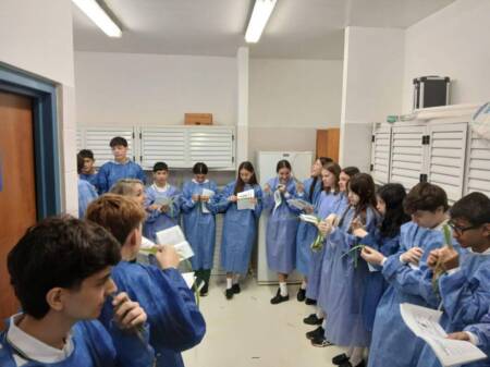 SPEPM promueve capacitaciones sobre ciencia y tecnología en Misiones ciencia - 1