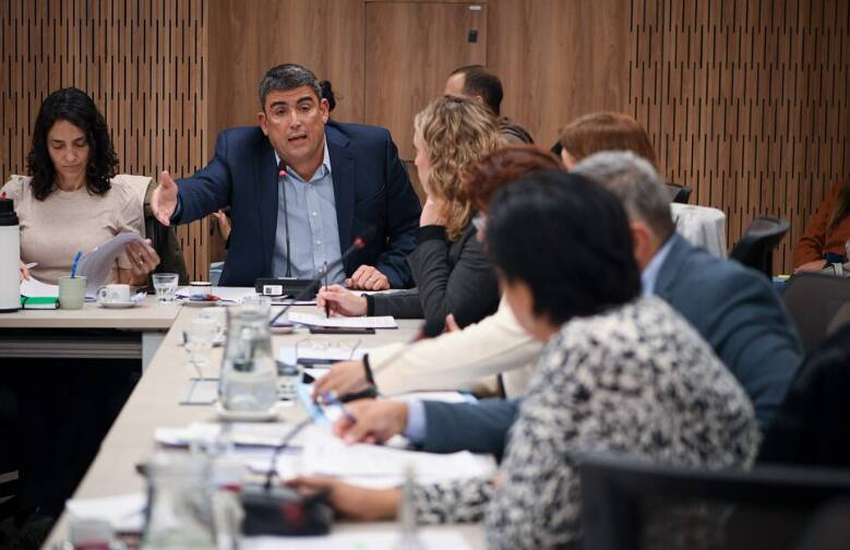 comision bicameral - 2