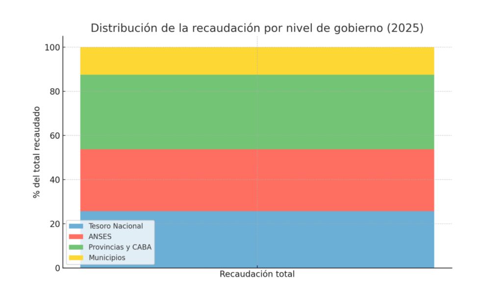 Argentina tiene 155 tributos: el peso impositivo que enfrentan los ciudadanos en 2025 4 Distribución de impuestos en Argentina