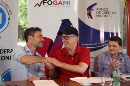 Sin fondos nacionales, provincias en el CFI pidieron apoyo a organismos internacionales lamothe HP - 7