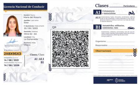 Rige la nueva Licencia de Conducir Digital: ¿cómo es el trámite online? licencia de conducir 1 - 5