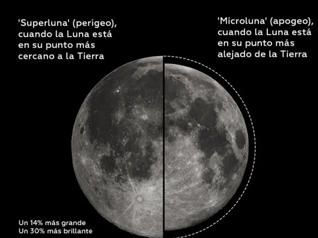 microluna - 1