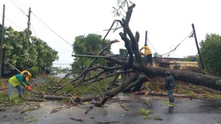 Suben a 30 los afectados por el temporal en Posadas: ¿a qué números se puede pedir ayuda? municipalidad trabajos - 3