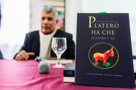 platero 1 - 7