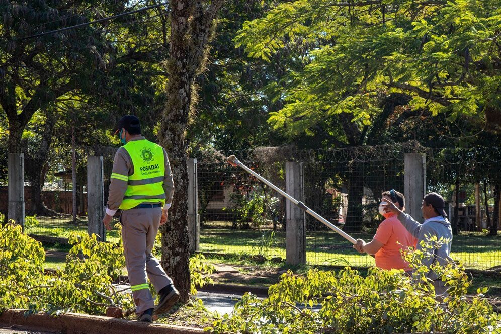Operativo Integral de Poda: cómo gestionar el expediente en Posadas y evitar multas operativo poda Posadas