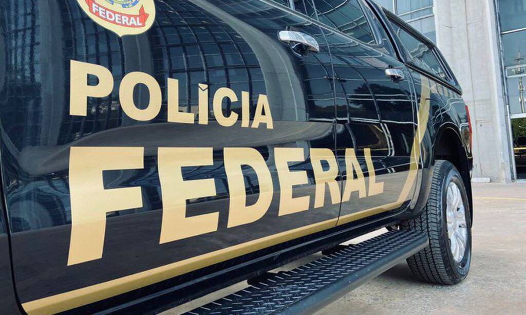 Efectivos de las fuerzas federales del Brasil consiguieron detener el ingreso ilegal de los olivos