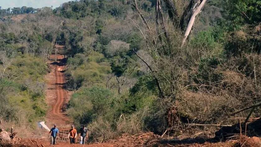 Hallaron sin vida a un hombre que había desaparecido en Pozo Azul 5 pozo azul 3 1 - 4