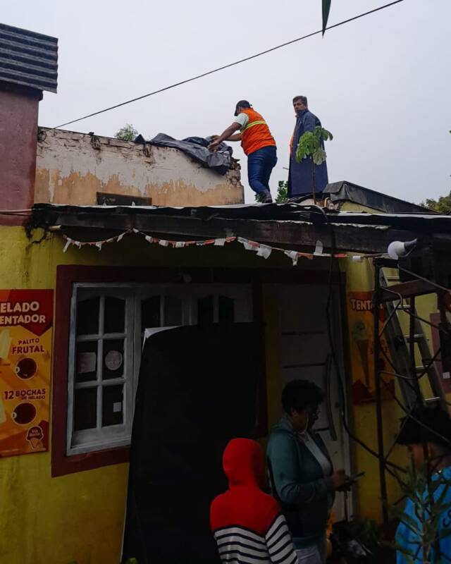 temporal 1 2 - 3