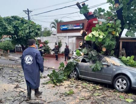 “Muchos vecinos salieron a ayudarse entre sí, pese a eso atendimos a más de 50 familias en Posadas y Garupá” temporal 4 - 1