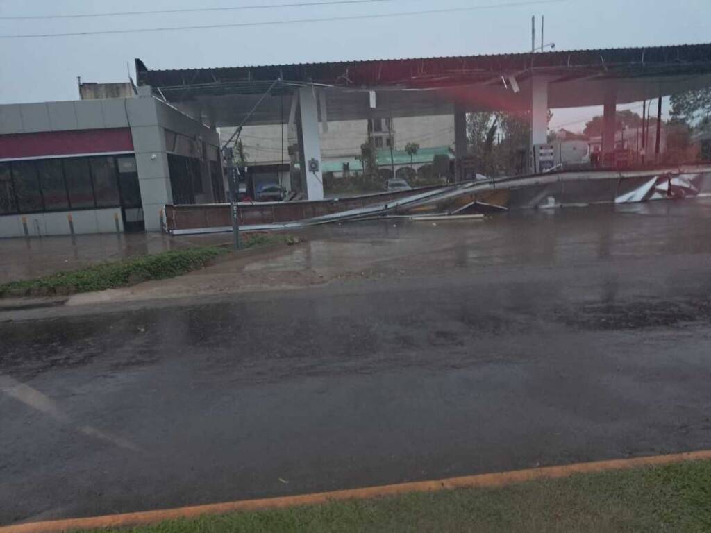 Fuerte tormenta en Posadas: árboles caídos, cortes de luz y mampostería destruida temporal l 1 - 2