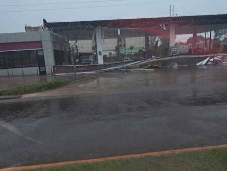 Fuerte tormenta en Posadas: árboles caídos, cortes de luz y mampostería destruida temporal l 1 - 6