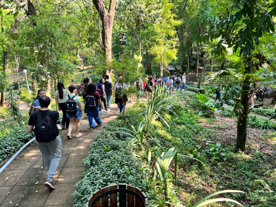 Fin de semana largo: Misiones en su mejor versión turística 4 turismo - 3