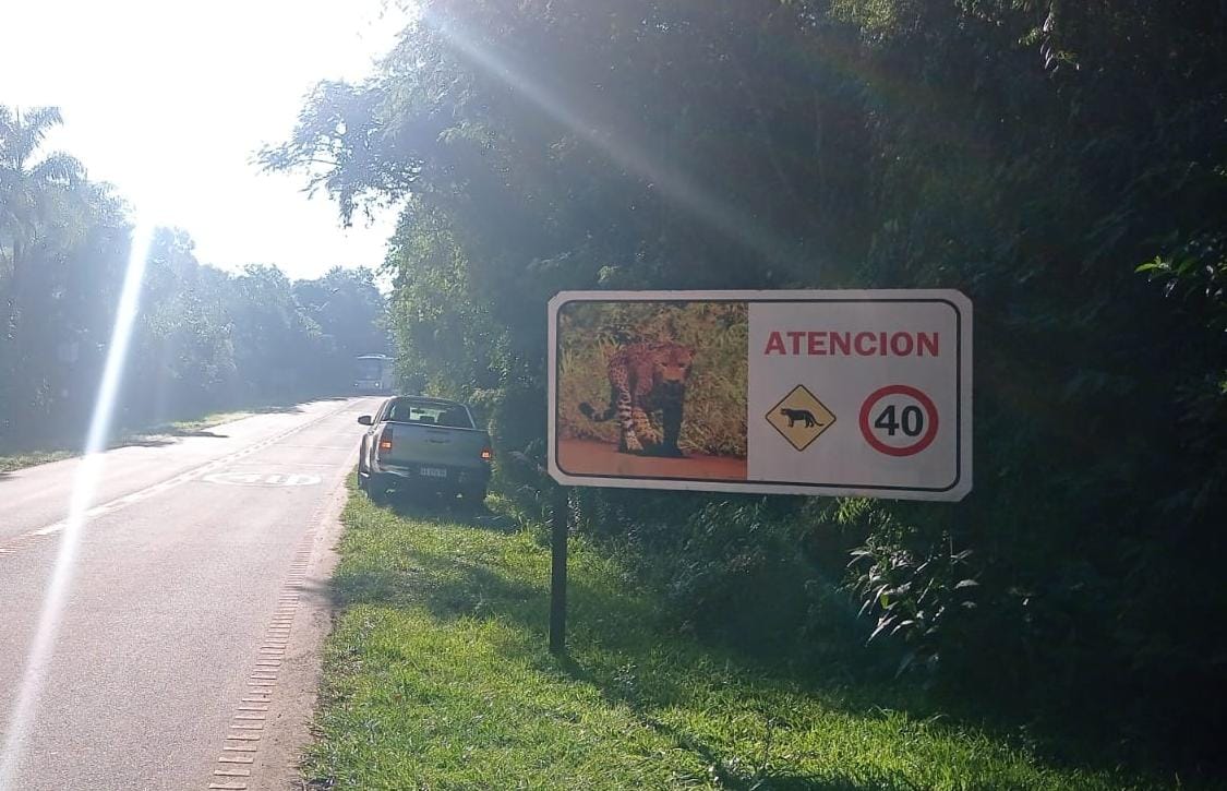 No respetó el límite de velocidad y terminó en el monte del Parque Nacional Iguazú 2 whatsapp image 2022 07 14 at 7.31.13 pm - 1