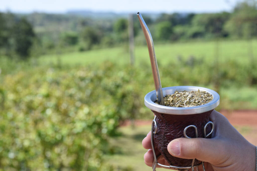 Consejero misionero de Coninagro respaldó suspender la zafriña de yerba mate 2 yerba