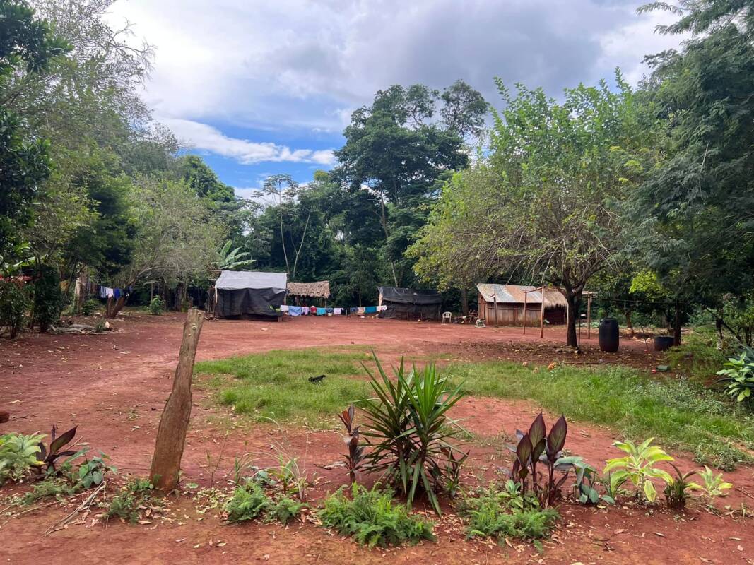 Fue imputado el hombre que apuñaló 27 veces a una joven mbya en Iguazú 5 yryapu2 - 4