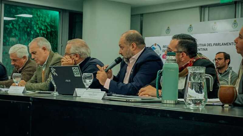 Misiones, que concentra el 95% de la superficie tealera nacional, pidió medidas urgentes como compensaciones por fletes, tarifas diferenciadas y promoción internacional.