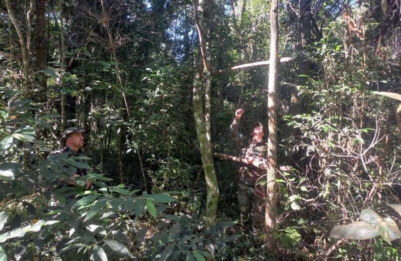Descubren campamento clandestino con armas y trampas en Colonia Guaraypo 2 La caza fue descubierta tras rastrillajes