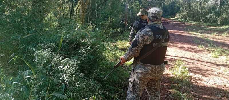 Descubren campamento clandestino con armas y trampas en Colonia Guaraypo Descubren