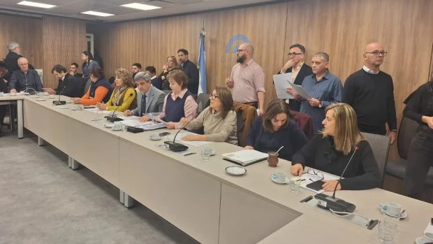 Diputados avanzan con la declaración de emergencia del Hospital Garrahan en medio de reclamos salariales Diputados 1 - 1