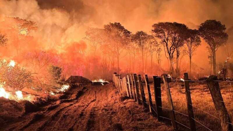 incendios en Brasil durante el 2024
