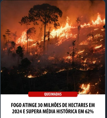 Brasil bate récord histórico de incendios forestales en 2024 2 El estudio, basado en imágenes satelitales, revela que una cuarta parte del territorio de Brasil ha sido afectado por incendios al menos una vez en los últimos 40 años