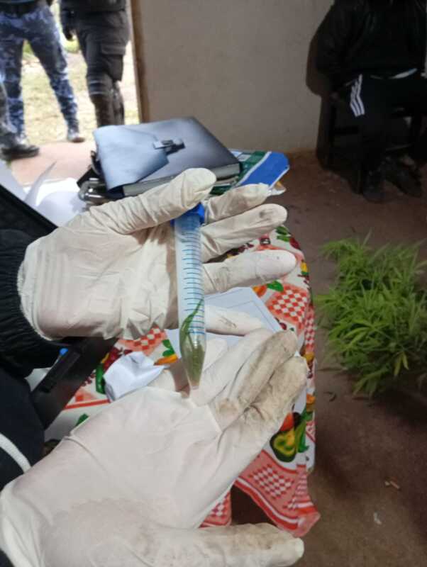 El Patrón fue detenido además de armas, marihuana y diversos bienes de dudosa procedencia.
