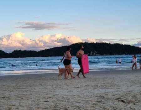 Turismo invernal: eligen más Brasil que destinos locales Imagen de WhatsApp 2025 06 23 a las 20.54.10 e9f5a2b6 e1750722994719 - 1