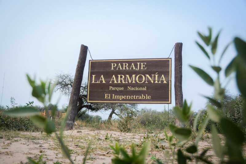 Liberan una yaguareté en el Parque Nacional El Impenetrable para recuperar la especie 2 Quiyoc, cuyo nombre significa "yaguareté" en lengua qom, tiene dos años y fue criada en condiciones de semi-cautiverio, sin contacto humano