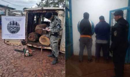 Delicia: secuestran trafic con rollos de laurel y detienen dos hombres por apeo ilegal mado delicia