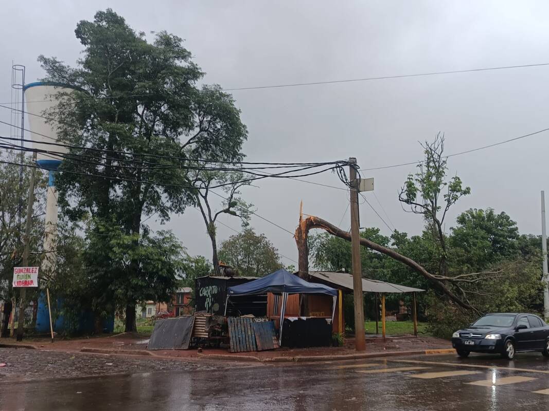Temporal en Iguazú: ráfagas de 80 km/h, voladuras de techos y asistencia estatal en marcha 2 WhatsApp Image 2025 06 05 at 11.30.10 1 - 1