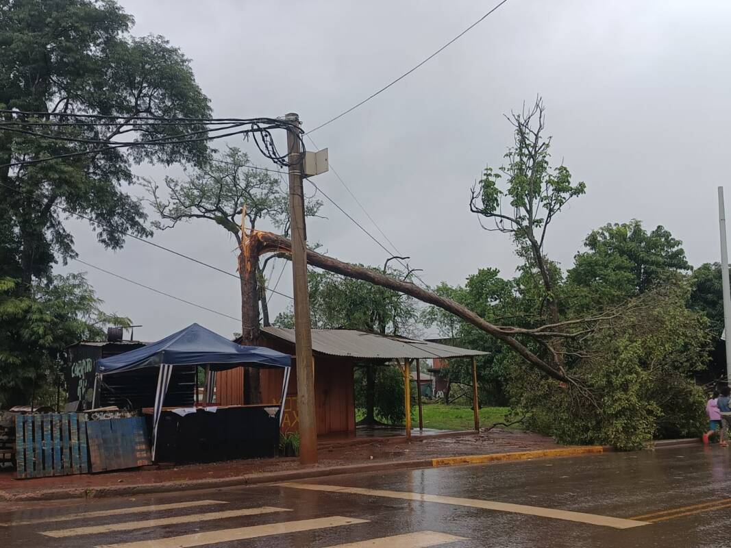 Temporal en Iguazú: ráfagas de 80 km/h, voladuras de techos y asistencia estatal en marcha 4 WhatsApp Image 2025 06 05 at 11.30.10 - 3