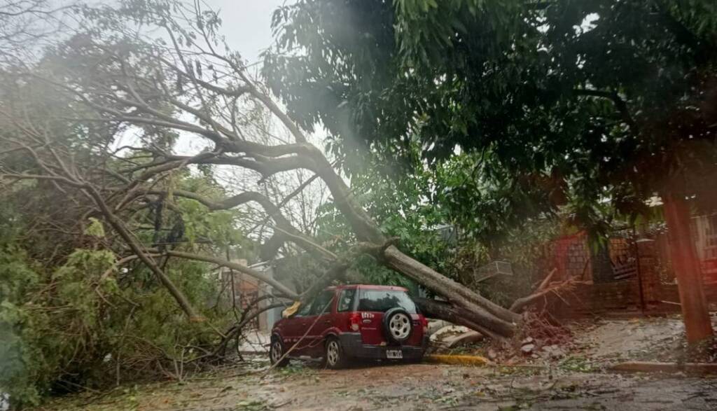 Temporal en Iguazú: ráfagas de 80 km/h, voladuras de techos y asistencia estatal en marcha Temporal en Iguazú