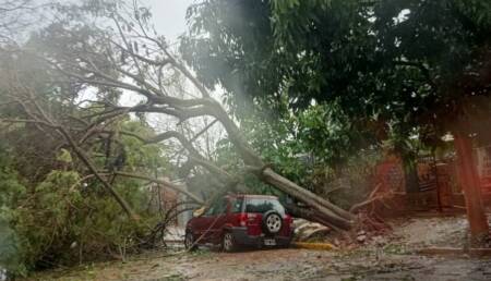 Temporal en Iguazú: ráfagas de 80 km/h, voladuras de techos y asistencia estatal en marcha Temporal en Iguazú