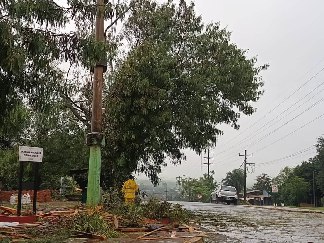 Temporal en Iguazú: ráfagas de 80 km/h, voladuras de techos y asistencia estatal en marcha 6 WhatsApp Image 2025 06 05 at 11.30.14 - 5