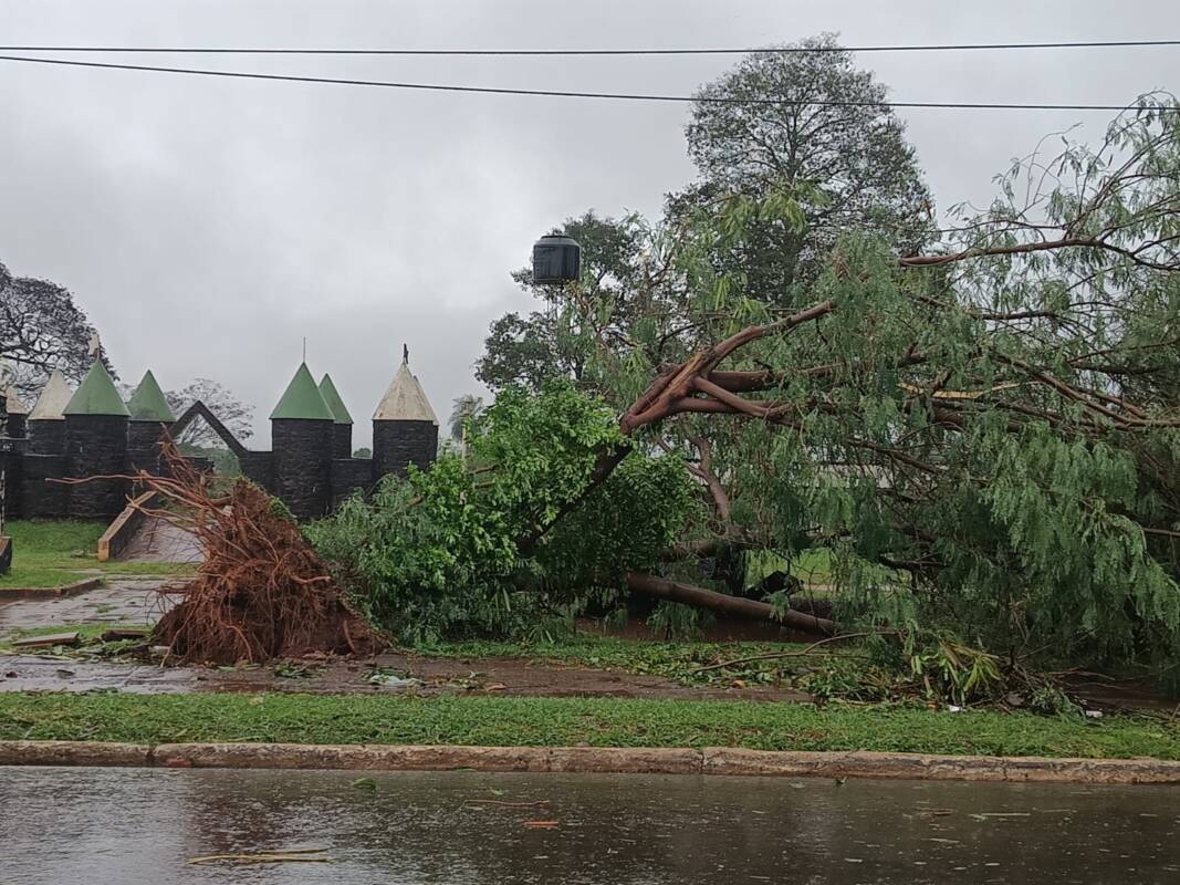 Temporal en Iguazú: ráfagas de 80 km/h, voladuras de techos y asistencia estatal en marcha 10 WhatsApp Image 2025 06 05 at 11.30.17 - 9