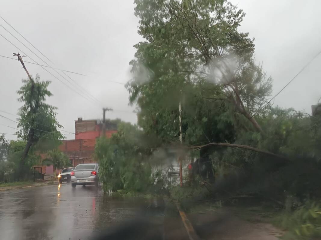 Temporal en Iguazú: ráfagas de 80 km/h, voladuras de techos y asistencia estatal en marcha 12 WhatsApp Image 2025 06 05 at 11.30.18 - 11