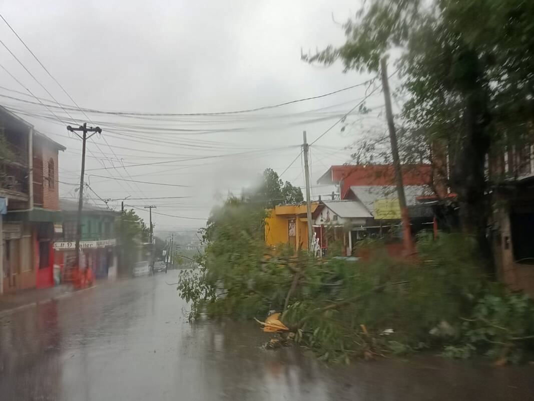 Temporal en Iguazú: ráfagas de 80 km/h, voladuras de techos y asistencia estatal en marcha 14 WhatsApp Image 2025 06 05 at 11.30.19 - 13