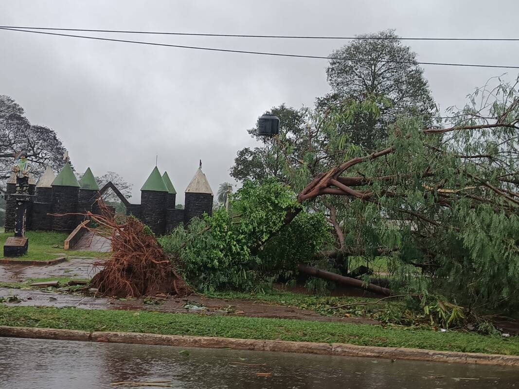 Temporal en Iguazú: ráfagas de 80 km/h, voladuras de techos y asistencia estatal en marcha 16 WhatsApp Image 2025 06 05 at 11.30.20 - 15