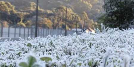 Heladas intensas y temperaturas bajo cero en Misiones: madrugada gélida en gran parte de la provincia Heladas en Misiones