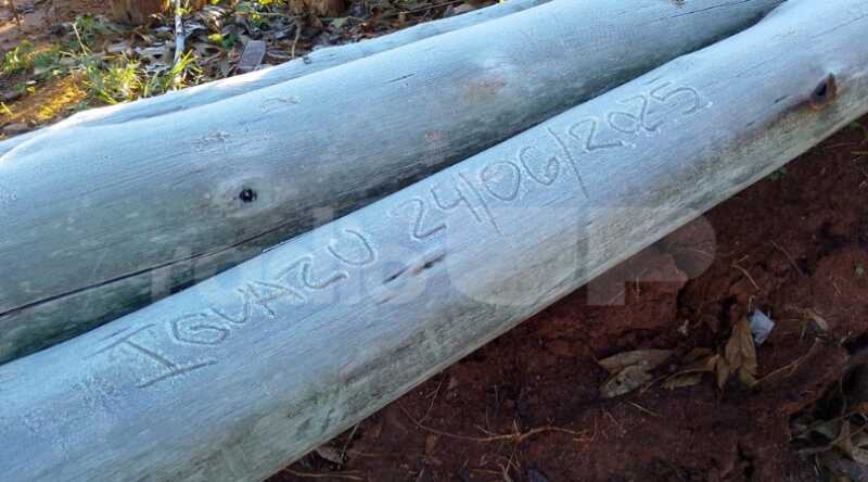 Heladas intensas y temperaturas bajo cero en Misiones: madrugada gélida en gran parte de la provincia 4 WhatsApp Image 2025 06 24 at 08.33.44 - 3