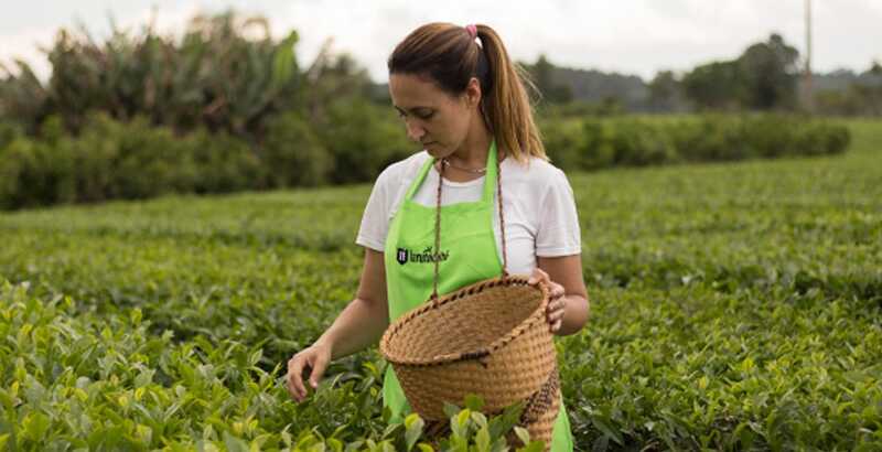 Exportaciones en Misiones: “El costo de prender una industria en Argentina es muy alto” 4 WhatsApp Image 2025 06 26 at 11.44.54 2 - 3