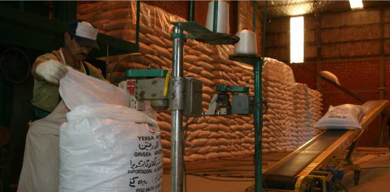 Misiones busca ampliar exportaciones de té, yerba y madera al mercado norteamericano 3 WhatsApp Image 2025 06 27 at 09.17.46 1 - 2