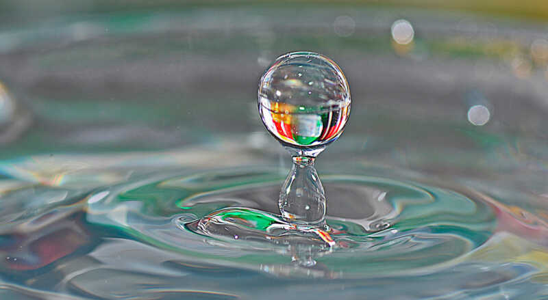 Somos Naturaleza: reflexiones en torno al agua y al planeta vivo agua naturaleza